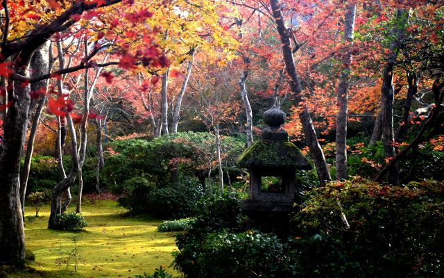 大河内山荘の紅葉(6)