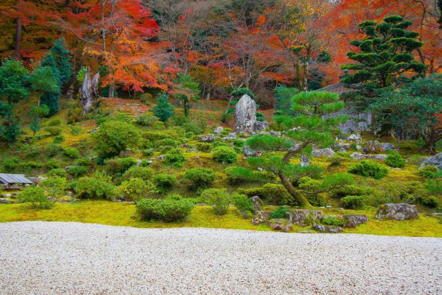 萬徳寺の紅葉