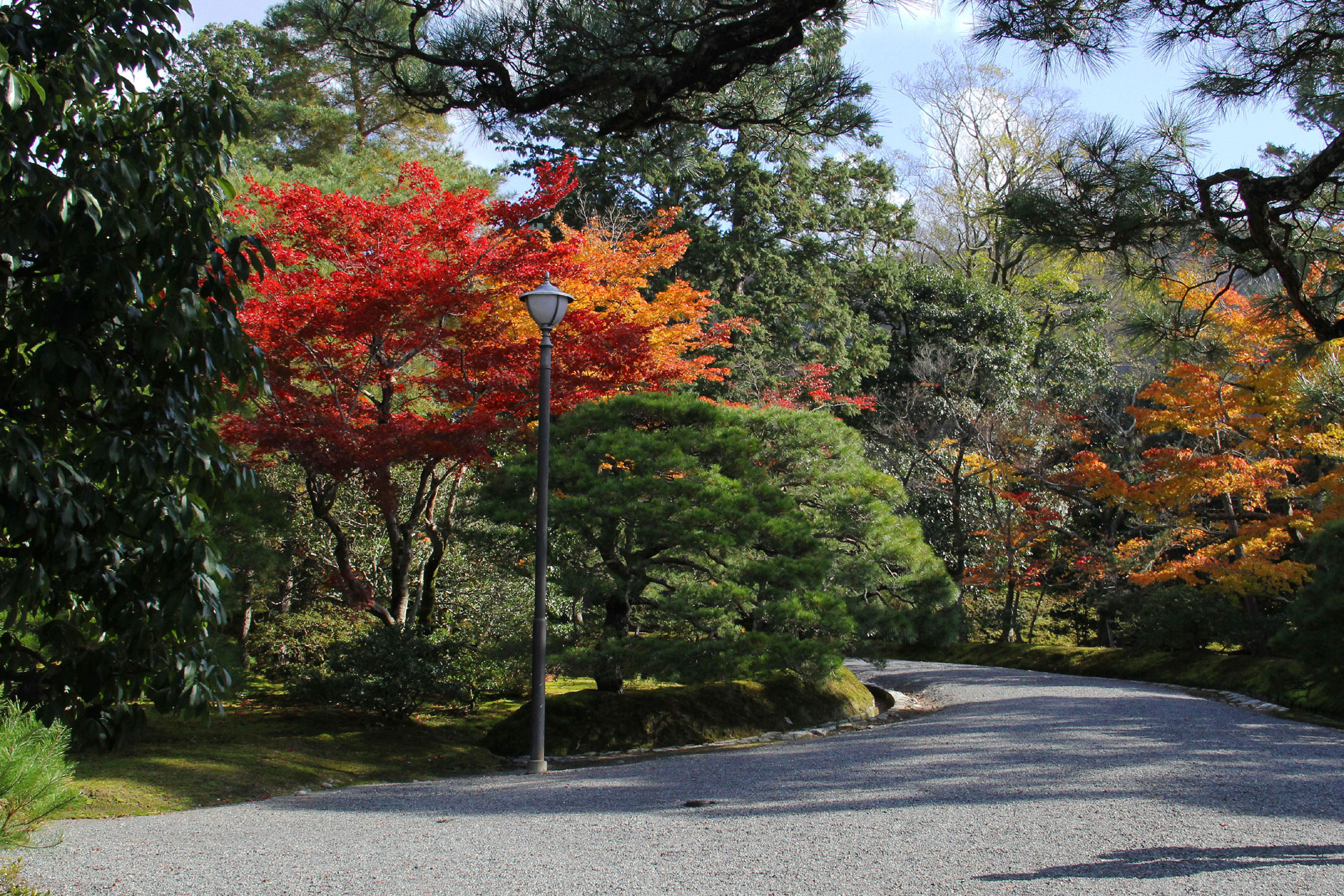 日本の風景 京都の紅葉 修学院離宮 1 壁紙19x1280 壁紙館