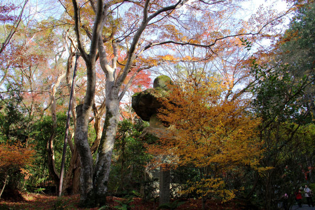 京都の紅葉・赤山禅院・#1