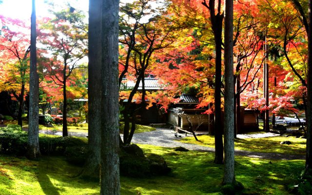 鷹峯 しょうざんの紅葉(7)