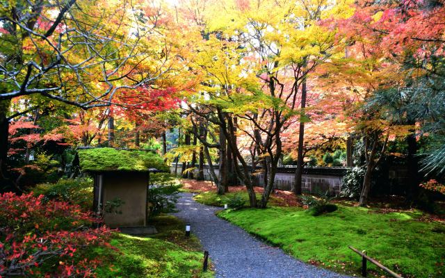 鷹峯 しょうざんの紅葉(8)