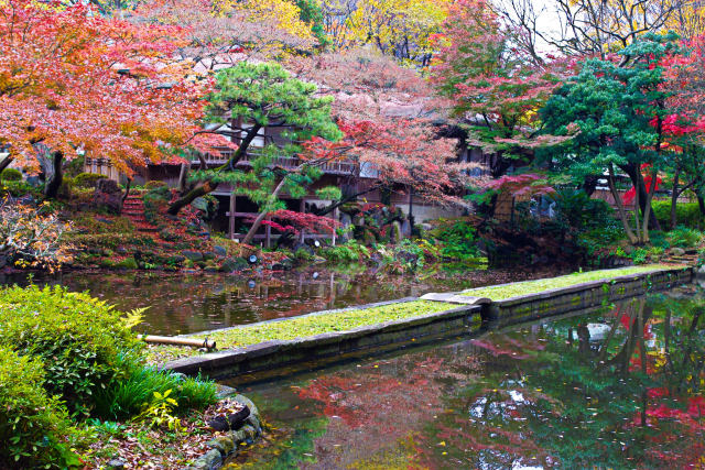 小石川後楽園 西湖の堤と紅葉