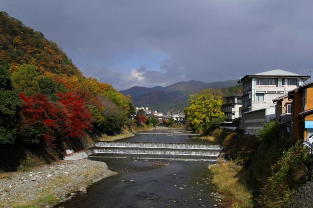 京都の紅葉・高野川