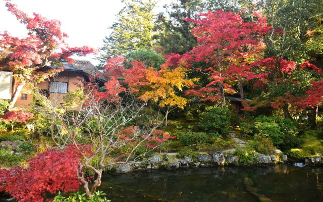 依水園の紅葉(1)