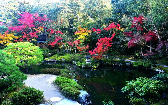 依水園の紅葉(3)