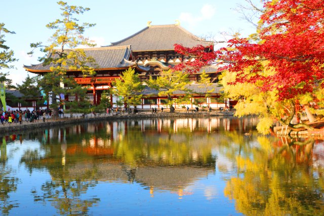 東大寺紅葉