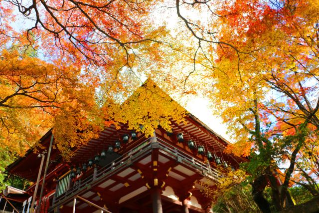 談山神社紅葉