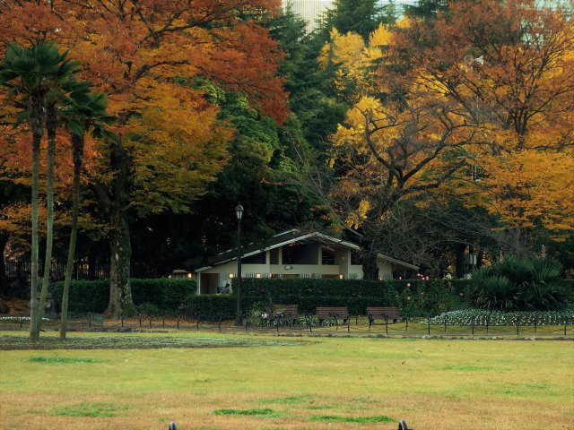 晩秋の日比谷公園