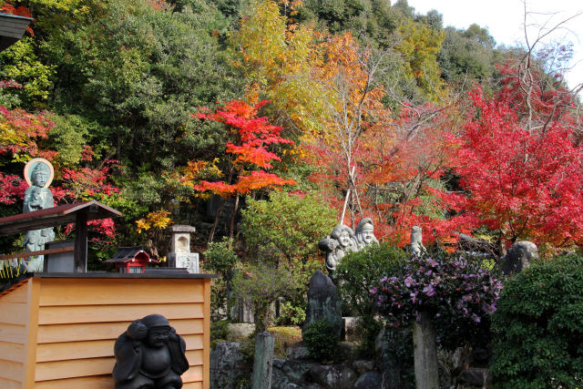 京都の紅葉・妙円寺・#2