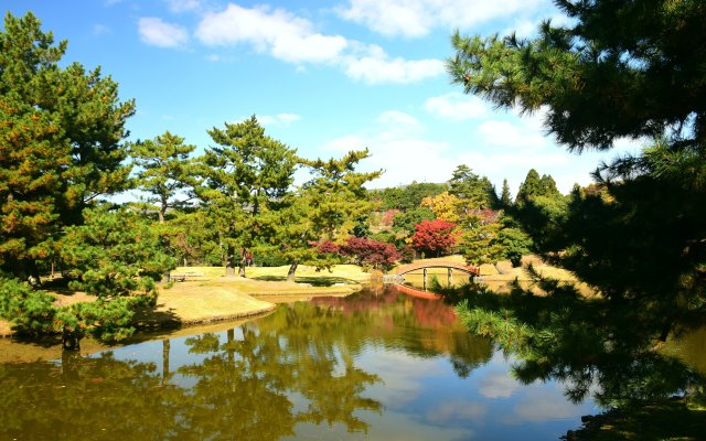 大乗院庭園の秋(1)