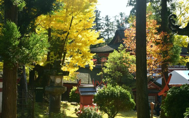 春日大社の紅葉(1)