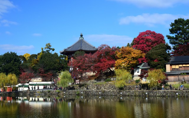 奈良公園の秋(2)