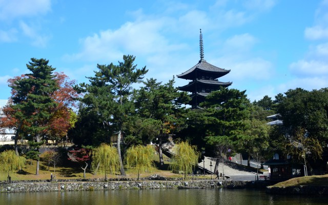 奈良公園の秋(3)