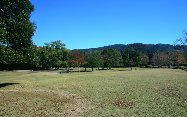 奈良公園の秋(6)