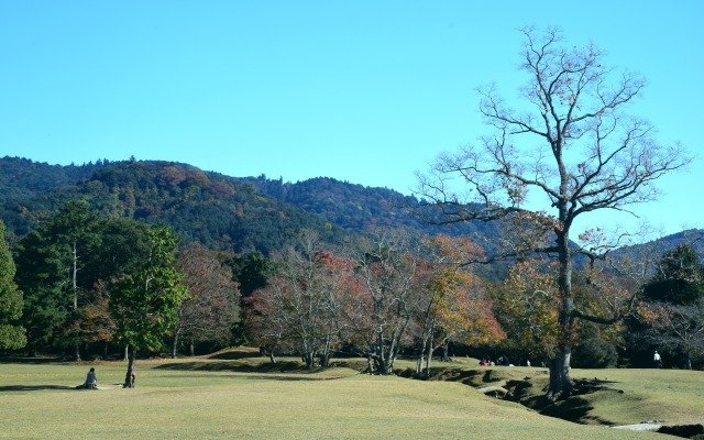 奈良公園の秋(7)