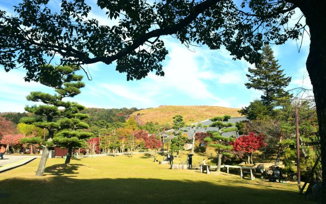 奈良公園の秋(9)