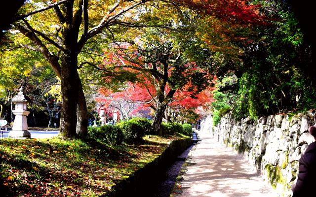 比叡山坂本日吉馬場(2)