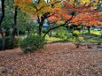 晩秋の日比谷公園