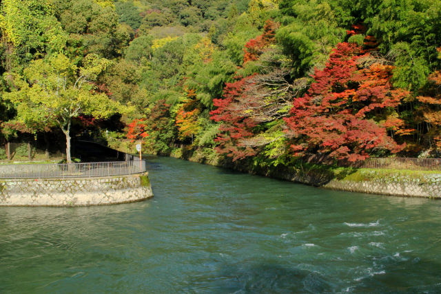 宇治の紅葉・宇治川畔・#1