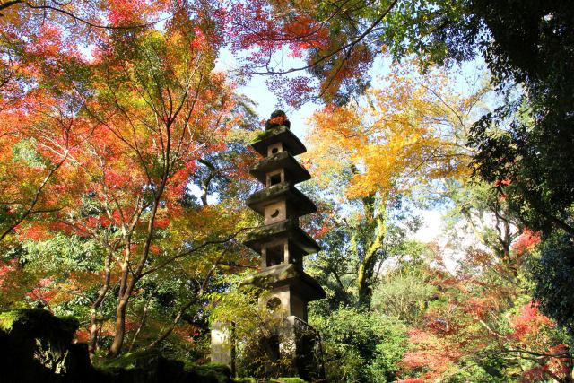 宇治の紅葉・興聖寺・#1