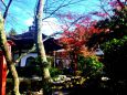比叡山坂本 律院の秋(4)