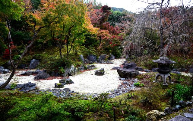 宝筐院の紅葉(5)