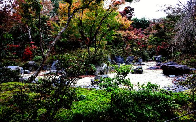 宝筐院の紅葉(7)