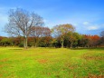 初冬の百舌鳥大仙公園