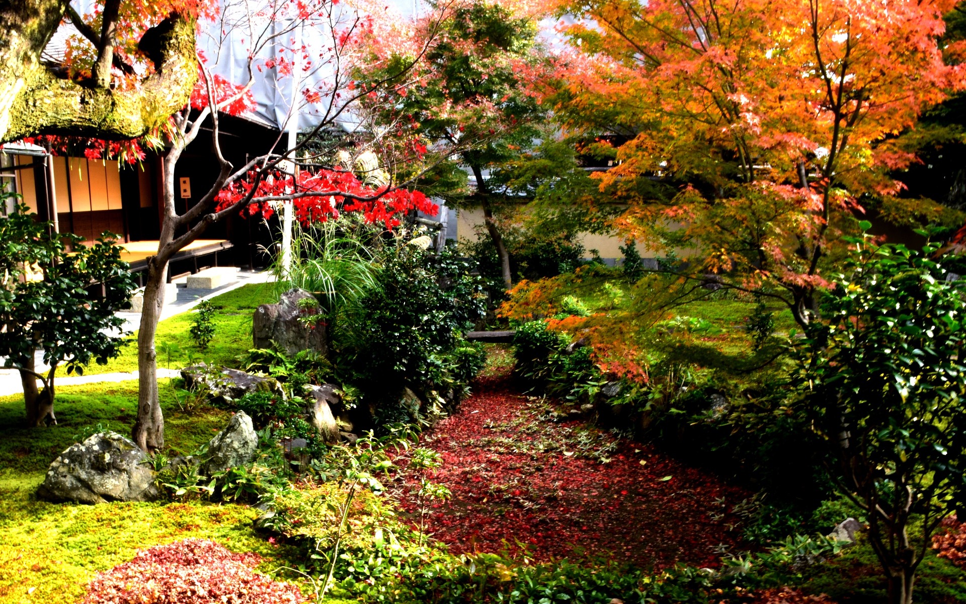 日本の風景 大徳寺 黄梅院の秋 7 壁紙19x10 壁紙館