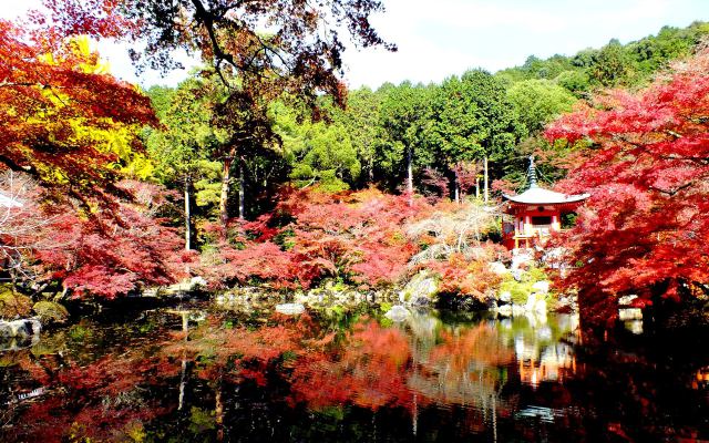 燃える醍醐寺(8)