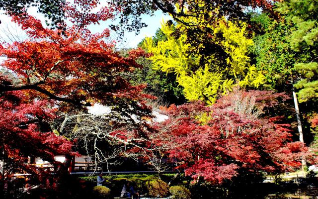 燃える醍醐寺(9)