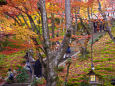 常寂光寺の紅葉