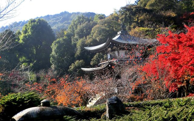 勧修寺の秋(3) 観音堂