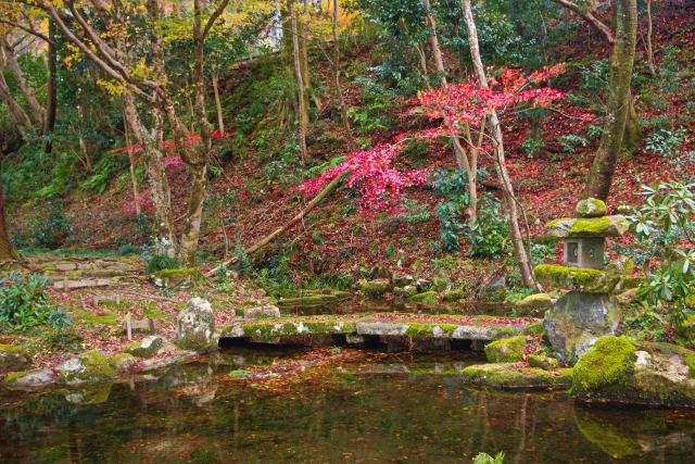 秋の大原 三千院