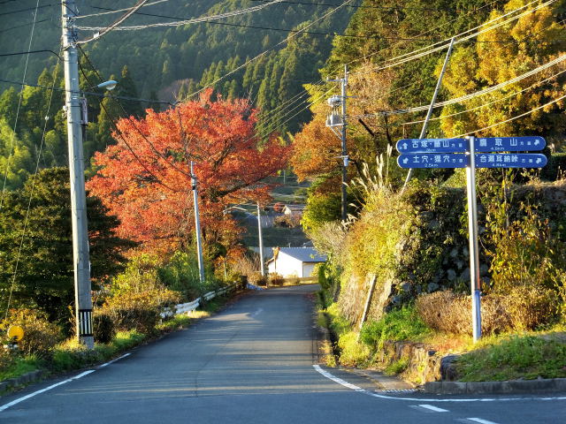 田舎道、土穴、狸穴もあるよ！