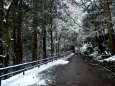 鞍馬寺雪景色(2)