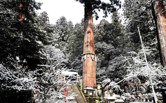 鞍馬寺雪景色(6)