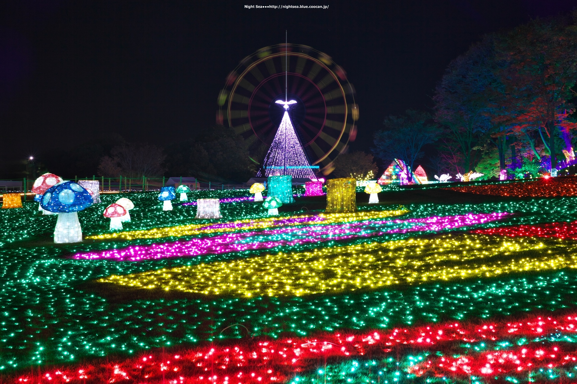 夜景 花火 イルミ 東京ドイツ村 壁紙19x1280 壁紙館