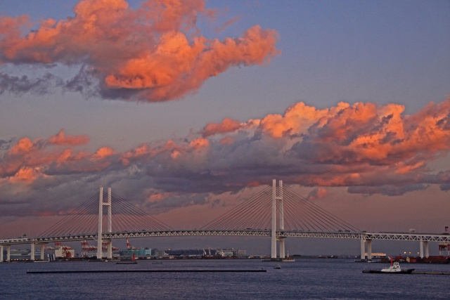 横浜港夕景