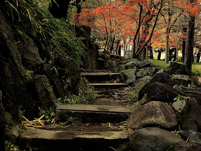 昨日の日比谷公園紅葉