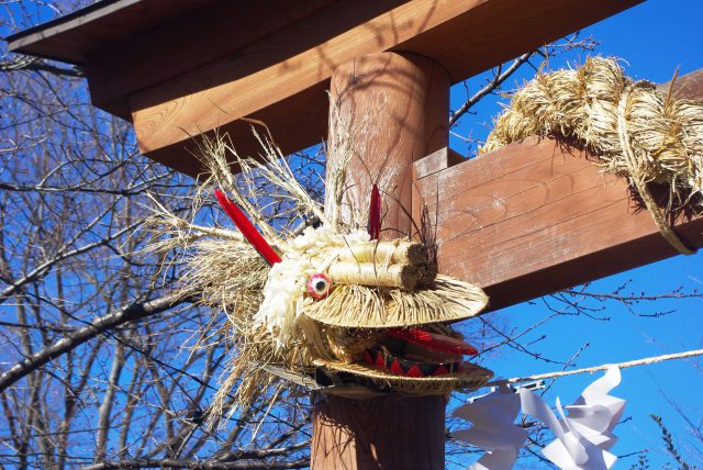 所沢熊野神社鳥居大蛇②