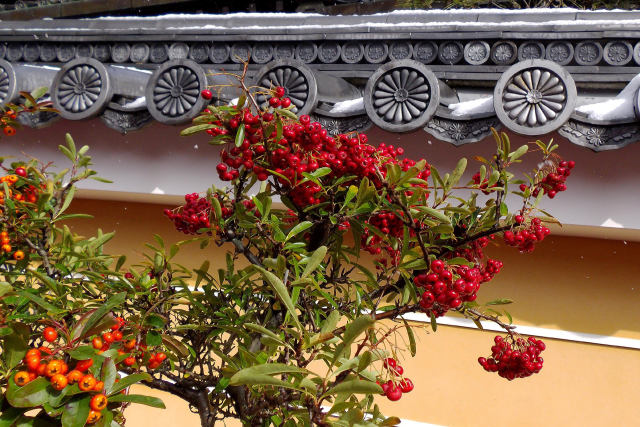 雪の中山寺・花参道