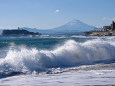 波高し湘南の海