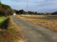 田舎道、新年の風景