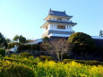 菜の花咲く新年の竹崎城址展望台