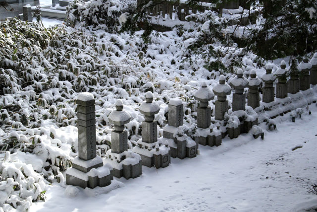 雪の高野山・綿帽子