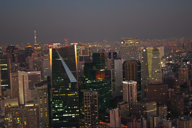 東京トワイライトビュー