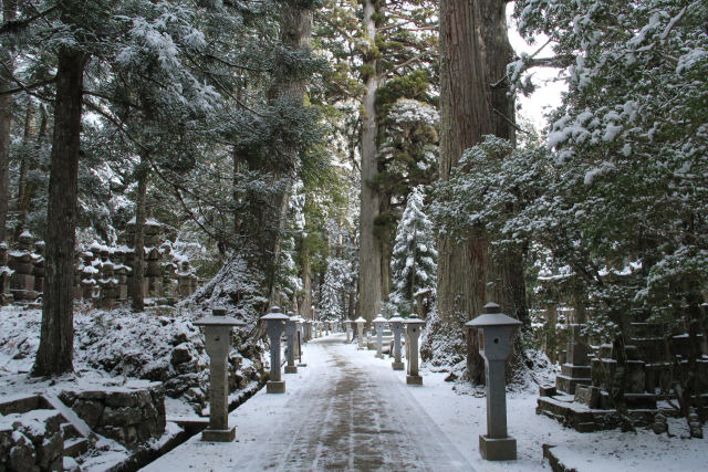 雪の高野山・静寂の参道