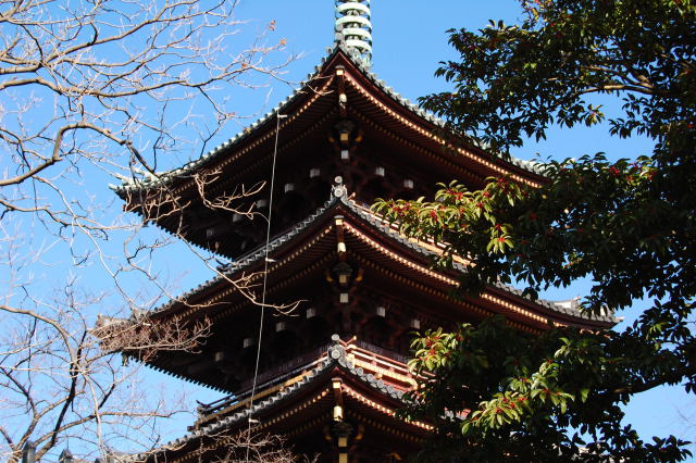 上野恩賜公園の五重塔